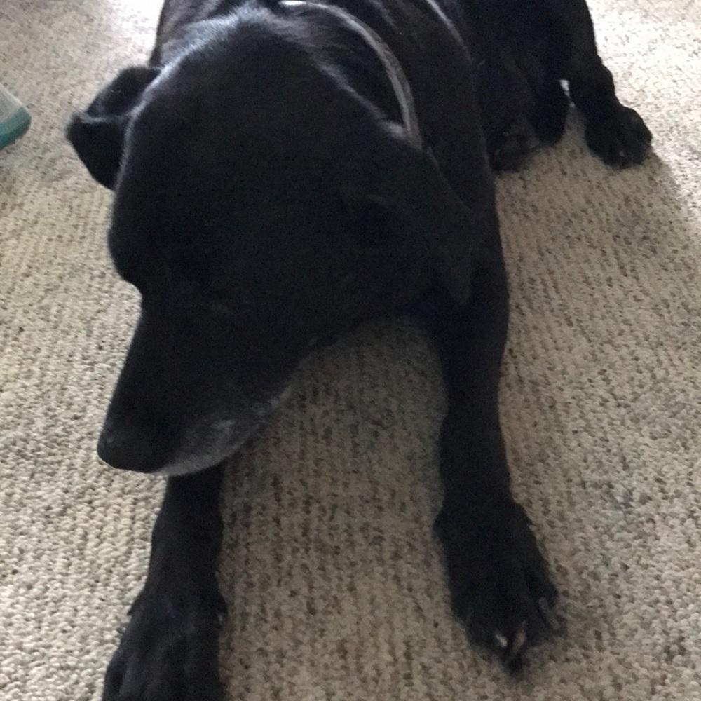 Meet your Posher, Jenna